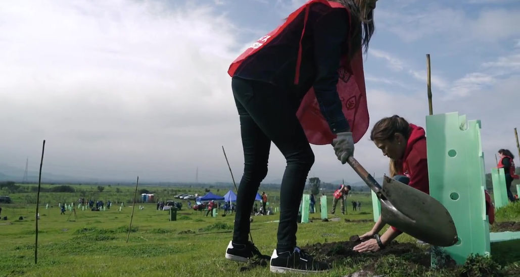 Reforestación Participativa en Maipú